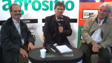 TV: ¿Te animás a invertir en un modelo agroindustrial que revolucione Santa Cruz y Tierra del Fuego?