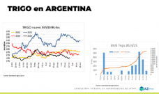 Trigo: Hay que aprovechar oportunidades; con Lorena D´Angelo - Clínica de Granos	