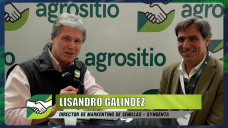 Con seca, sembrar en base a ambientaciones y curvas de comportamiento agronómico; con L. Galindez - Ger. Syngenta