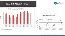 Trigo: El precio sigue subiendo ¿hasta cuándo? ; con Lorena D´Angelo - Clínica de Granos