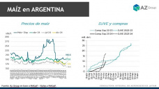 Maíz: ¿suba de precios ante la necesidad de la exportación?; con Catalina Ferrari - Clínica de Granos
