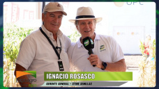 VALORES y PERSONAS como claves de éxito en las empresas del Agro; con Ignacio Rosasco - CEO Stine