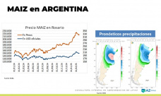 Maíz: La lluvia pronosticada puede demorar la baja de precios; con Lorena D´Angelo - Clínica de Granos