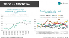 Trigo: Firmeza del trigo local mejora relaciones de precios, con Sofia Ganly - Clínica de Granos