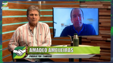 Un Modelo de Tambo eficiente que 