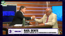 El problema del Trigo HB4 no es el Gob. de Brasil, son los consumidores; con Raúl Dente - Fed. Acopiadores