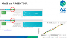 Maíz: ¿Cuánto maíz tardío se sembrará?, con Lorena D´Angelo - Clínica de Granos