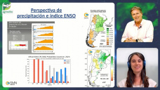 Niño firme, Pacífico ecuatorial acompañando, ¿y las lluvias?, ¿y La Niña?; con Gabriela Marcora - clima SMN