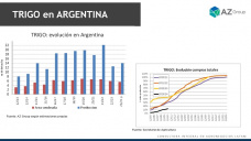 Trigo: Las lluvias llegan y los precios suben, con Lorena D´Angelo - Clínica de Granos