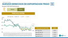 Trigo: Subas para todas las posiciones tras anuncio sobre recortes de producción; con Sofía Gayo – Clínica de Granos