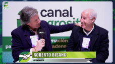 ¿Pueden ser superavitarias en 4 años las 23 Pcias. con modelos agrobioindustriales?; con Roberto Bisang 
