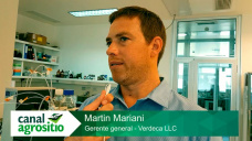 Cómo son las sojas tolerantes a sequía y salinidad; con M. Mariani - Verdeca