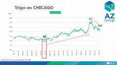 Trigo 