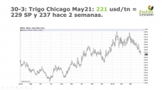 Trigo: mercado internacional en picada, y el local resiste por ahora, con Paulina Lescano - Clínica de Granos