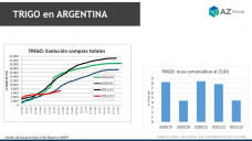 Trigo: Poca comercialización a la espera de mejores precios, con Lorena D´Angelo - Clínica de Granos