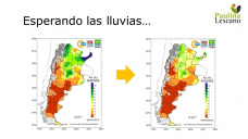 Maíz: en Chicago por el piso, y localmente casi, casi, con Paulina Lescano - Clínica de Granos