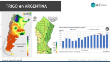 Trigo: se habla del área 23/24, pero ¿y el agua para cuándo?, con Lorena D´Angelo - Clínica de Granos