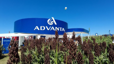 Todo lo nuevo en semillas de Maíz y Sorgo de Advanta; con P. Castaño y B. Simonetti