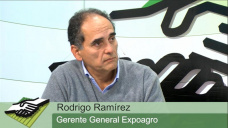 TV: ¿Qué oportunidades tienen el campo y la agroindustria argentina en Sudáfrica?; por R. Ramirez