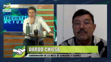 ¿Peligra el millón de Tons de exportación de carnes por el COVID free?; con Dardo Chiesa 