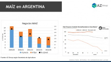 Maíz: el menos castigado en los precios futuros; con Lorena D´Angelo - Clínica de Granos