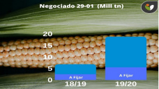 Maíz: localmente sigue siendo una buena oportunidad para 