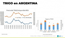 Trigo: Mejora mayor en el mercado local; con Lorena D´Angelo - Clínica de Granos