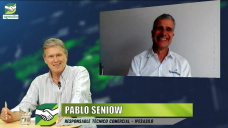 Estar atentos a las condiciones óptimas de almacenaje en Silo Bolsas; con P. Seniow - Ipesa