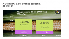 Maíz: Avanzando por todos los frentes, cosecha, negociación y ventas al exterior, con Paulina Lescano - Clínica de Granos
