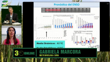 Neutralidad otoñal, ¿con lluvias?, ¿y El Niño?; con Gabriela Marcora - clima SMN
