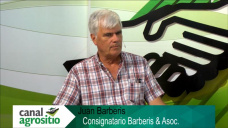 TV: ¿Estamos en un inicio de liquidación?; con J. Barberis
