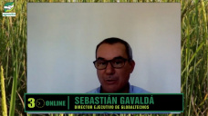 Poco recorrido en Soja por buena producción, y oportunidades en Maíz y Trigo; con Sebas Gavaldá - Globaltecnos