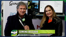 Hoy es muy sencillo entrenarse en Ganadería y Mercados granarios; con Gimena Delgado - UMSA