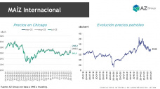 Maíz: Ajustes productivos locales y precios firmes, con Sofía Ganly - Clínica de Granos