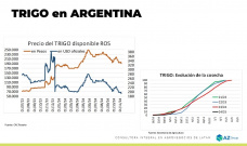 Trigo: El cereal no tiene factores positivos, ¿y los precios?; con Lorena D´Angelo - Clínica de Granos