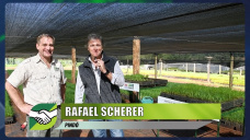 Productores innovadores: el 1° Pino Híbrido integrado a producciones regionales; con Rafael Scherer - Pindó