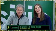 Seguirán las lluvias, pero ojo...hay algunos pronósticos Niña, ¿para cuando?; con Gabriela Marcora - clima SMN 