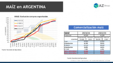 Maíz: Con los precios futuros, ¿se sembrará maíz 24/25?; con Lorena D´Angelo - Clínica de Granos