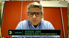 Estrategias en cosecha: ¿vender antes el Maíz, aguantar la Soja, y cubrirse con futuros?; con Sergio Juvé - Roagro