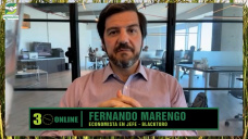 Hablando en serio de economía, ¿hay alguien que proponga algo mejor que Milei?; con F. Marengo - economista