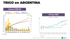 Trigo: todavía hay oportunidades de precio para vender; con Lorena D´ Angelo - Clínica de Granos