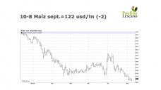 Maíz: avanzan los negocios. Puede Brasil sacarnos de este escenario tan activo?, con Paulina Lescano - Clínica de Granos