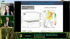 Sigue la Neutralidad, tranquila la Niña, habrá lluvias, ¿y en el verano?; con G. Marcora - Clima SMN