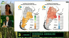 Buenas lluvias, mucha siembra, ¿hay chances que vuelva una Niña activa?; con V. Anibalini - clima UNR