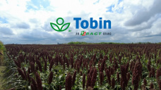 RAGT presentó todo su potencial en cultivos de verano