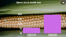 Maíz: pasamos de esperar que el USDA baje los stocks finales... a esperar una nueva mega-cosecha por venir, con Paulina Lescano - Clínica de Granos