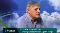 30 online B5: ¿Sigue habiendo chances de un Boom Ganadero argentino?; con J. Martínez del Valle - Angus