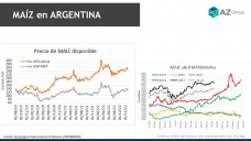 ¿Llegará a usd 300 en maíz en Argentina?, con Lorena D´Angelo - Clínica de Granos