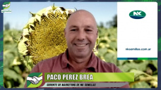 El poderoso retorno del Girasol y la pregunta del millón, ¿hay semillas?; con F. Perez Brea - NK