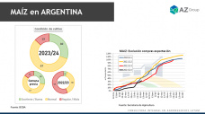 Maíz: Mejora externa de precios ayudó al cereal argentino; con Lorena D´Angelo - Clínica de Granos